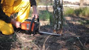 Best Lawn Mowing  in Dayton, WA